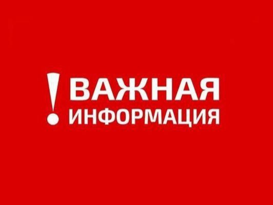 3 видеоролика.